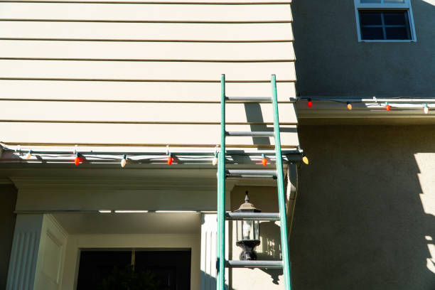 Best Siding Painting and Refinishing  in Victoria, MN